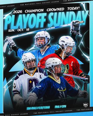Image post by @nationalballhockeyleague on Instagram