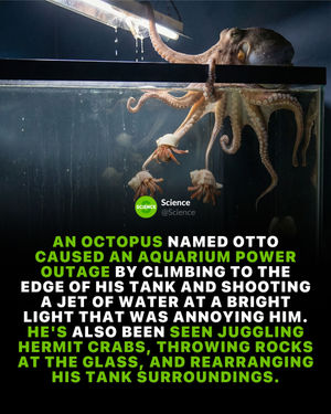 Image post by @science on Instagram