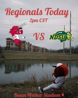Image post by @razorbackmascots on Instagram