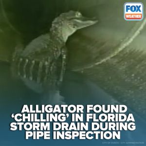Image post by @foxweather on Instagram