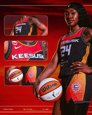 Image post by @ConnecticutSun on Twitter