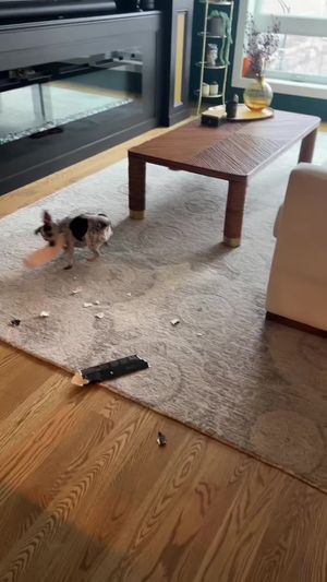 Video post by @oliviamancuso__ on TikTok