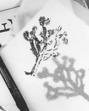Image post by @danielpatrick on Instagram