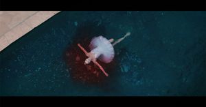 Image post by @profgampo on Instagram
