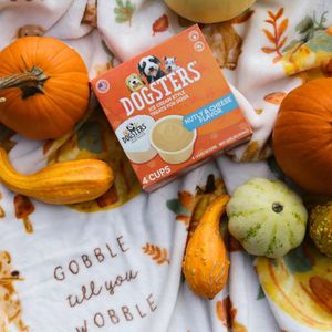 Image post by @dogstersicecream on Instagram