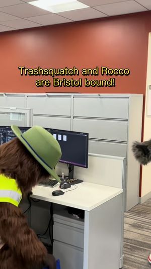 Video post by @ItsBristolBaby on Facebook