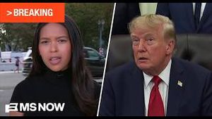 Video post by @msnbc on YouTube
