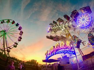 Image post by @michiganstatefair on Instagram