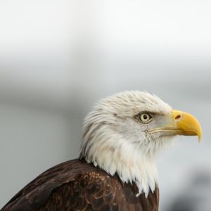 Image post by @philadelphiaeagles on Instagram