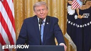 Video post by @msnbc on YouTube