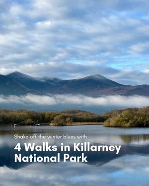 Image post by @thewildatlanticway on Instagram