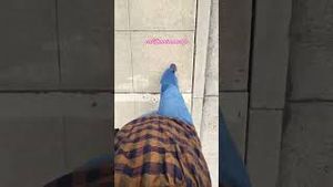 Video post by @lexymeyers on YouTube