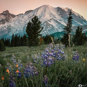 Image post by @nationalparkscollective on Instagram