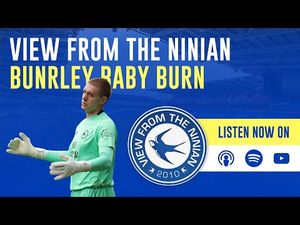 Video post by @VFTNinian on YouTube