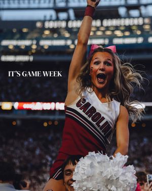 Image post by @gamecockcheer on Instagram