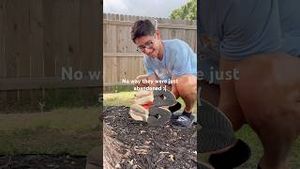 Video post by @perry_b on YouTube