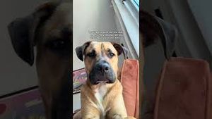 Video post by @claritin on YouTube