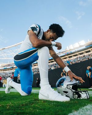 Image post by @panthers on Instagram