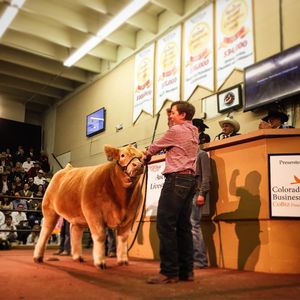 Image post by @nationalwestern on Instagram