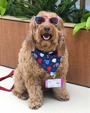 Image post by @cohen_childrens on Instagram