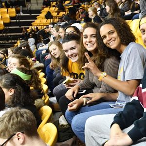 Image post by @towsontigersvb on Instagram