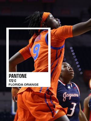 Image post by @gatorswbk on Instagram
