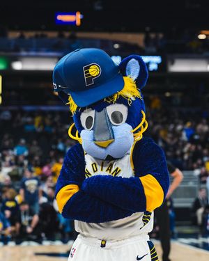 Image post by @pacersboomer on Instagram