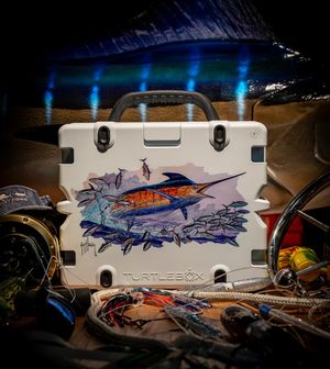 Image post by @turtleboxaudio on Instagram