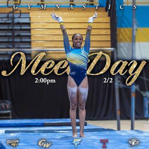 Image post by @liuwgymnastics on Instagram