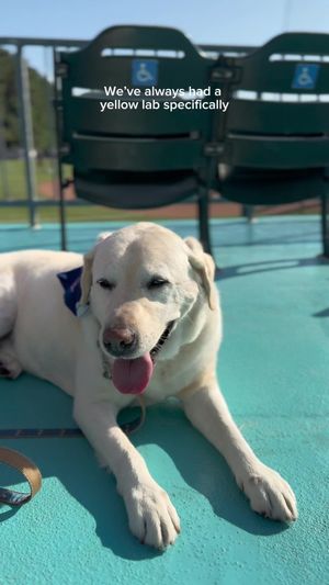 Video post by @visitmyrtlebeach on TikTok