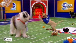 Video post by @PuppyBowl on Facebook