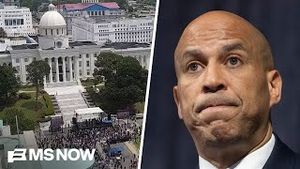 Video post by @msnbc on YouTube