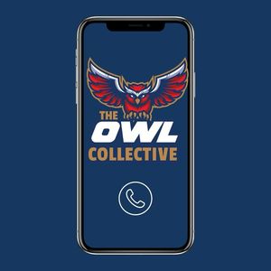 Image post by @theowl.collective on Instagram