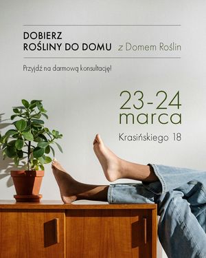 Image post by @domroslin on Instagram
