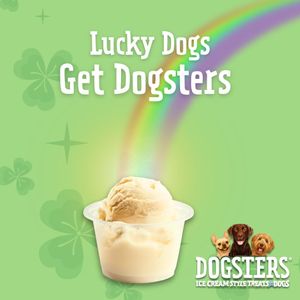 Image post by @dogstersicecream on Instagram