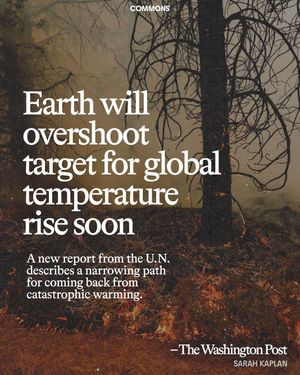 Image post by @commonsearth on Instagram