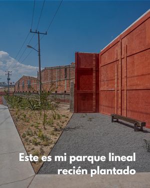 Image post by @fernandarionda on Instagram