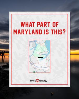 Image post by @routeoneapparel on Instagram