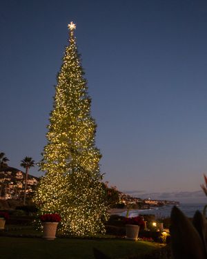 Image post by @montagelaguna on Instagram