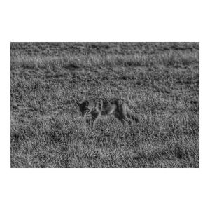 Image post by @jack_turpen on Instagram
