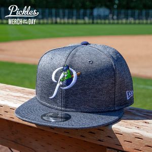 Image post by @picklesbaseball on Instagram