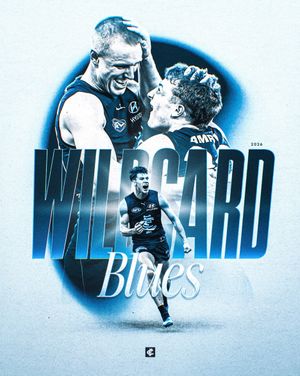 Image post by @carlton_fc on Instagram
