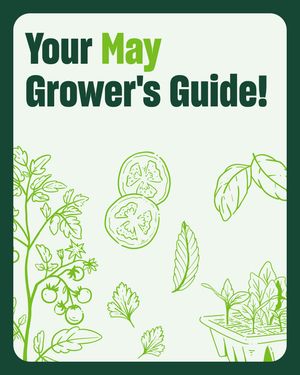 Image post by @bonnieplants on Instagram