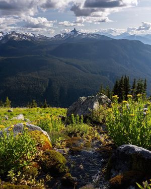 Image post by @whistlerblackcomb on Instagram