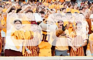 Image post by @goldythegopher on Instagram