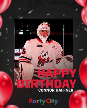 Image post by @ohlicedogs on Instagram