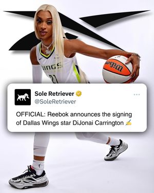 Image post by @soleretriever on Instagram