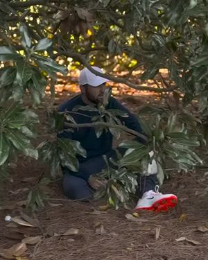 Image post by @pgatour on Instagram