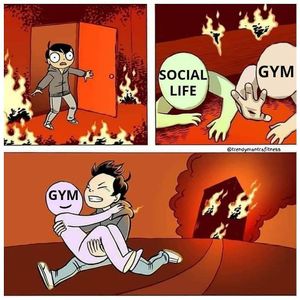 Image post by @thetrainingmanual on Instagram