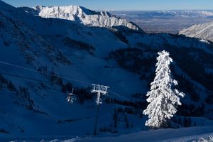 Image post by @snowbird on Instagram